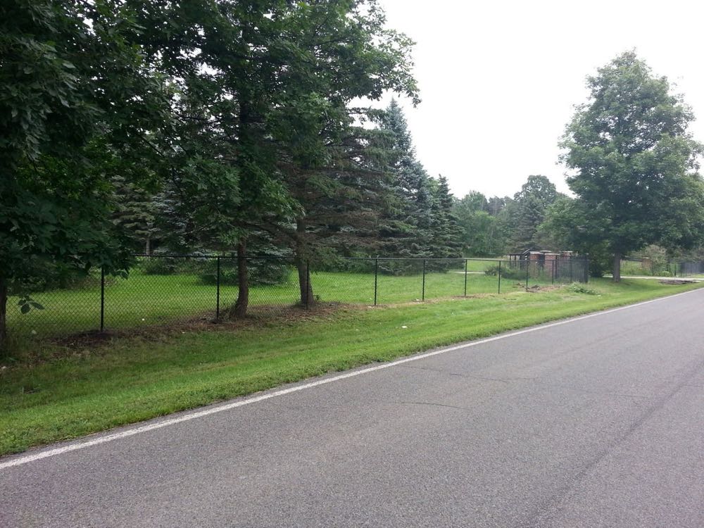 Black chain link fence along a tree-lined drive